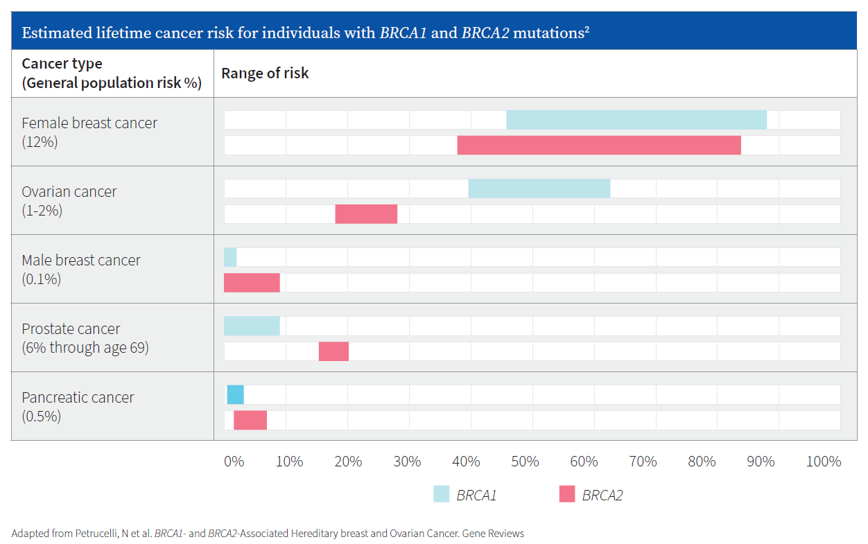 BRCA Risk Chart