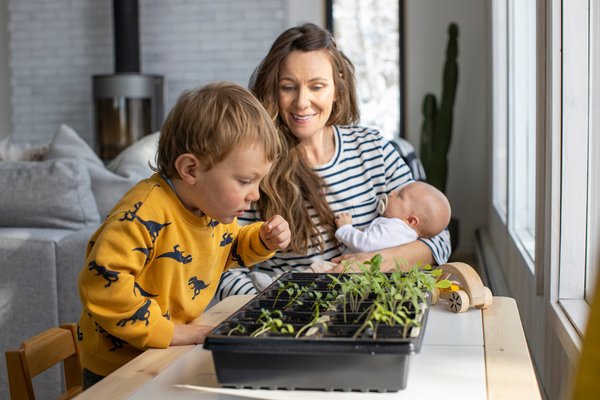 A mother and her toddler son planting an indoor garden