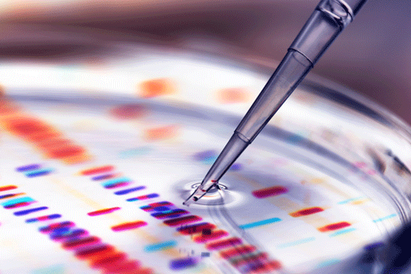 Pipette adding sample to petri dish with DNA profiles in background